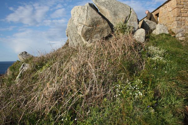 Bretagne 4634