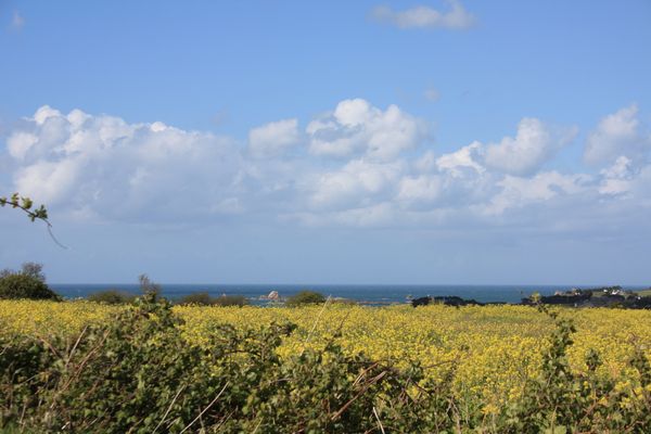 Le-Finistere-vu-par-nous-.-4506.JPG