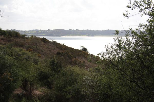 Le-Finistere-vu-par-nous-.-4514.JPG