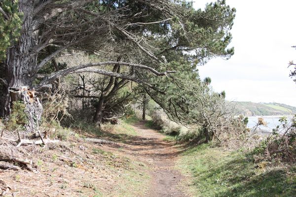 Le-Finistere-vu-par-nous-.-4535.JPG