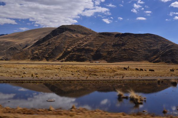 Sur la route de Puno (17)