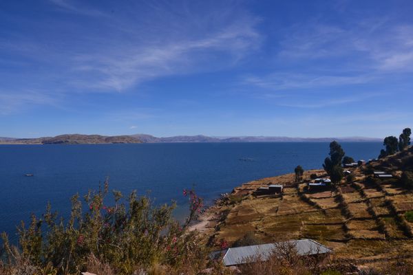 Titicaca (45)