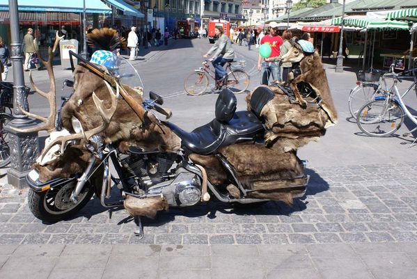 Rat Bike 010 rat bike 065