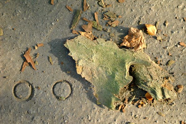 traces-ma-ville