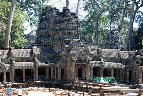 Ta Prohm - sa végétation - 08