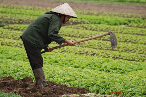 Vietnam route 18 - maréchère-1