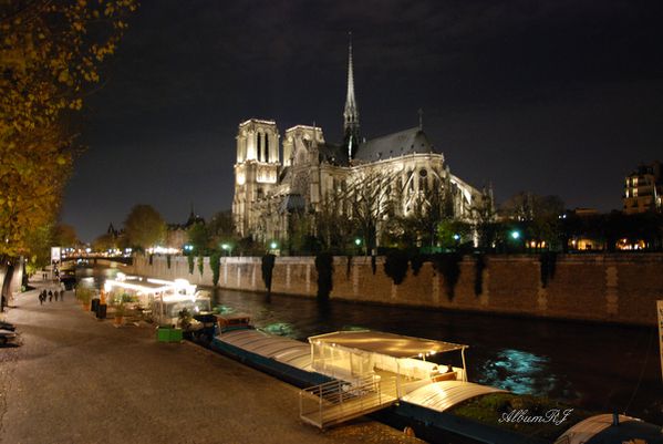 de la grande galerie à notre dame le 20-11-10 20 11 10 435