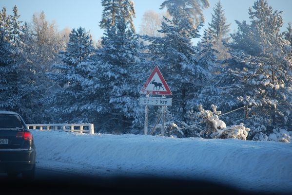 Norge-2009-2010 4593