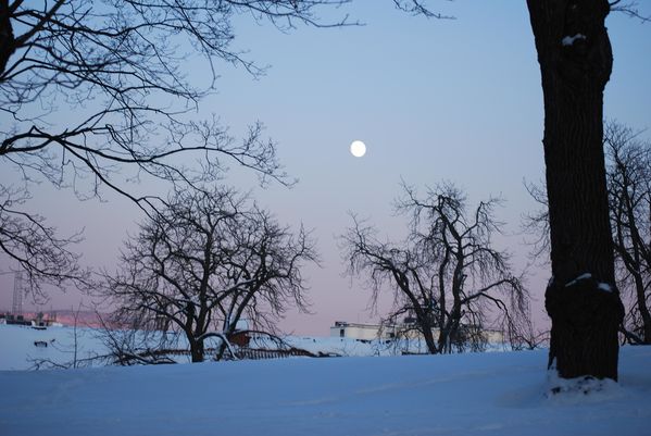 Norge-2009-2010 4777