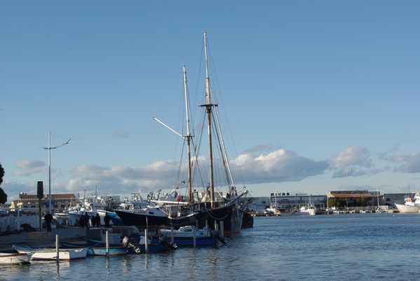 IMGP0577.JPG