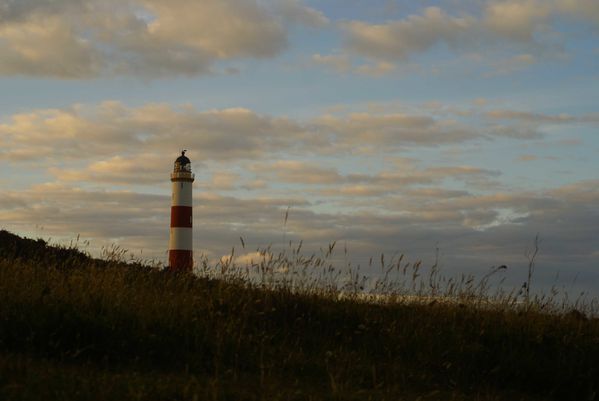 Tarbat Ness Lighthouse