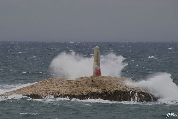 DSC0082m