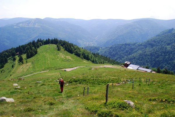 A12 - Hohneck - Metzeral