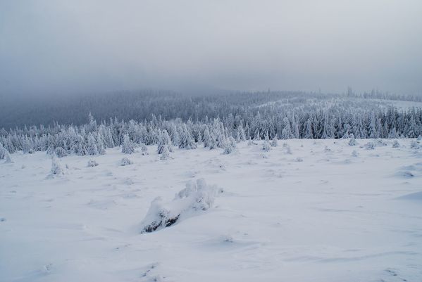 N15 - vallee des framboises - Haute Loge [1280x768]