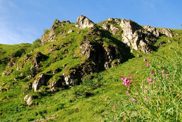 J02 - chamois dans rochers descente Frankenthal [1280x768]