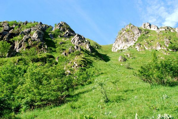 J04 - chamois dans rochers descente Frankenthal [1280x768]