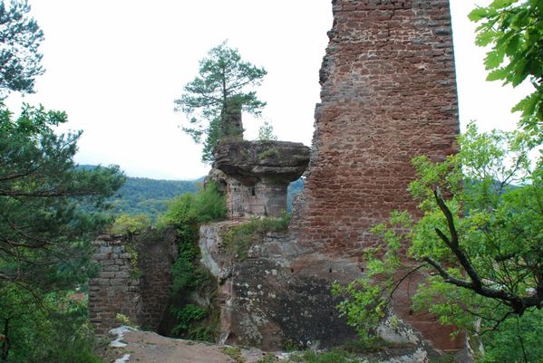 D04 - ruines Arnsbourg