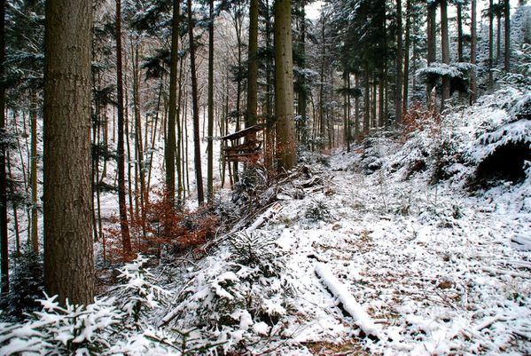 B02 - Stambach