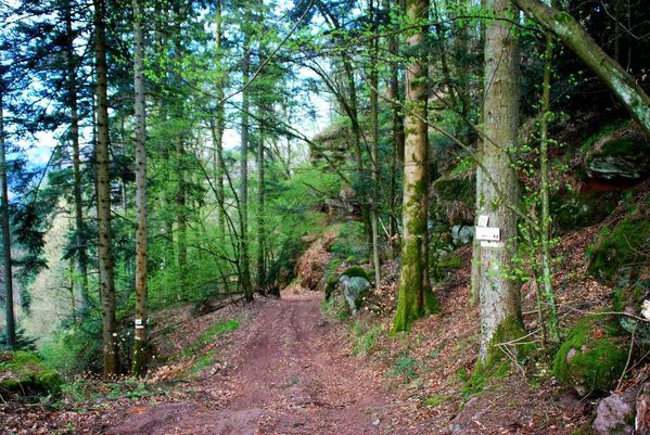 I07 - Roche du Diable - St Leon