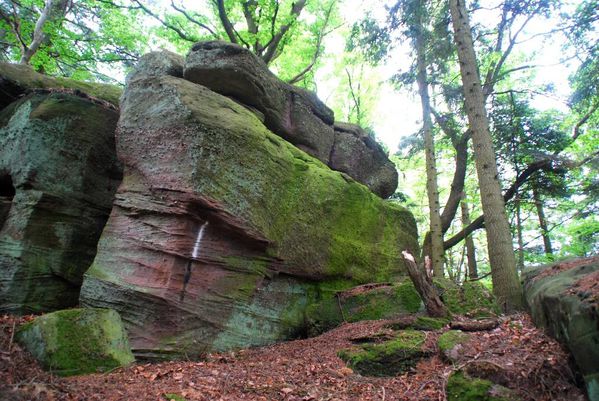 A07 - rando auberge du camping