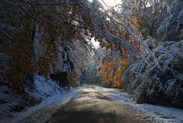 L01 - rando neige 28-10-12