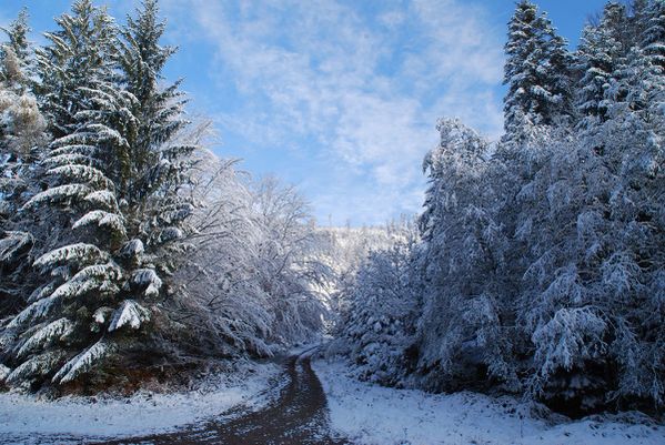 L02 - rando neige 28-10-12