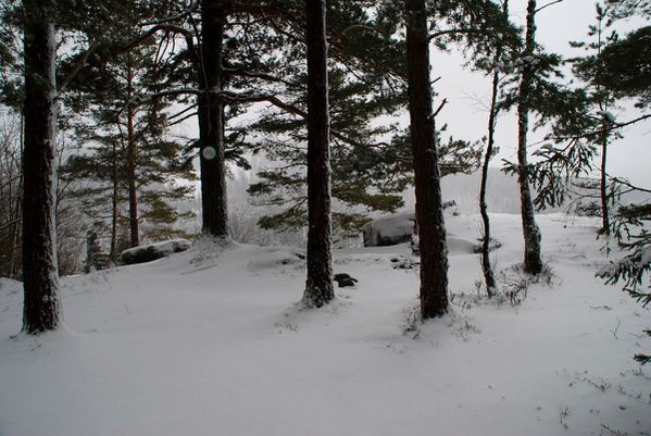 G06 - Parc aux Boeufs
