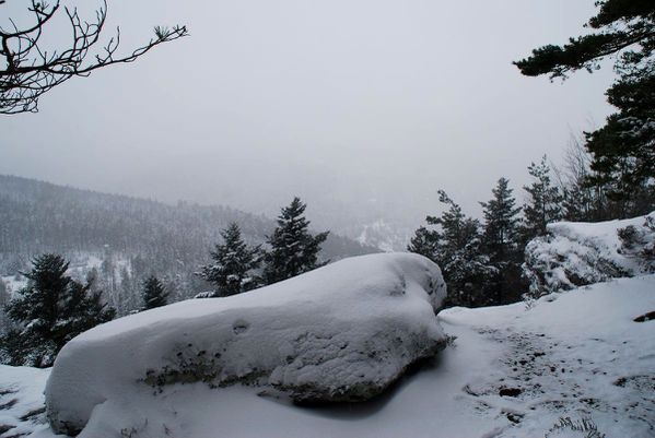 G07 - Parc aux Boeufs
