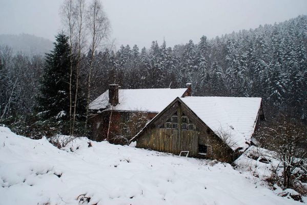 G11 - Parc aux Boeufs