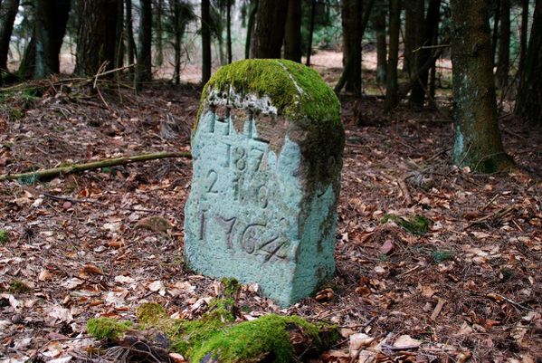 H12 - Wasenbourg