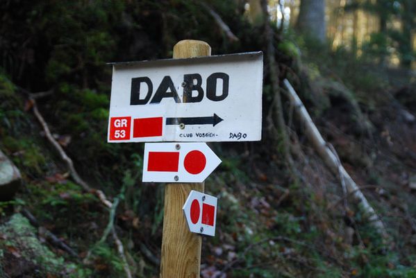 D14 - Dabo