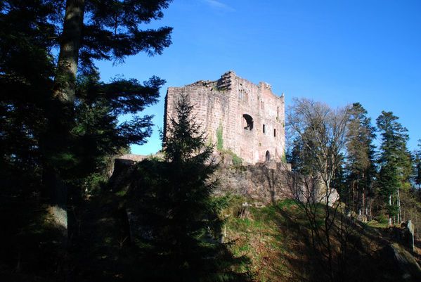 D08 - Rothlach
