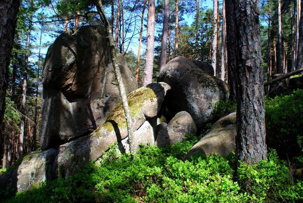 D41 - Rothlach
