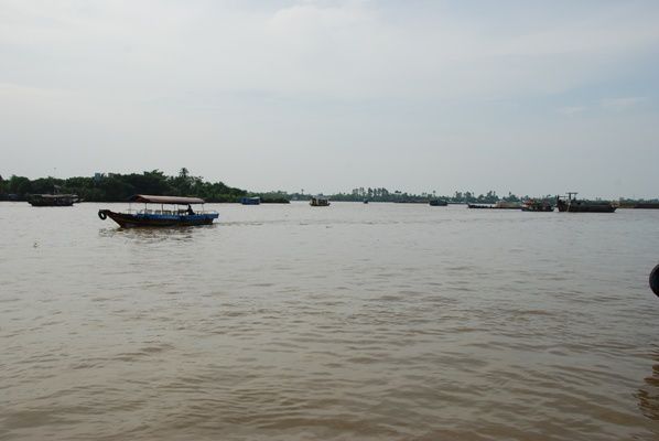 Au-delta-du-Mekong.jpg