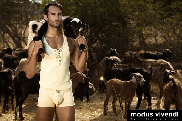 modus-vivendi-shepherd-line-41.jpg