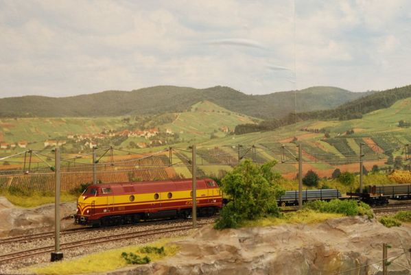 CFL 18150001