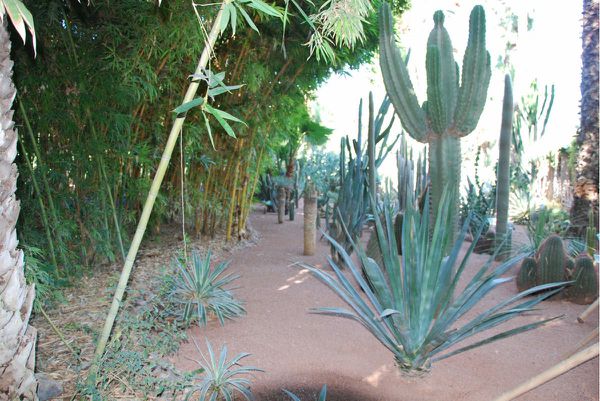 maroc-0076