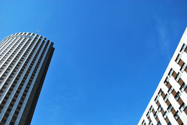 11-copie-2.jpg