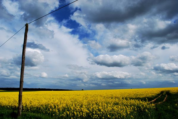 french-countryside.jpg