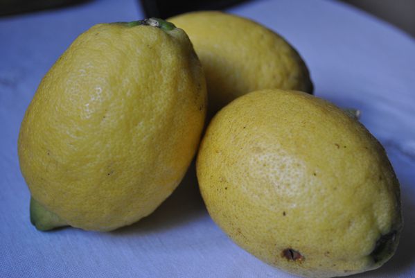 Lemon 001