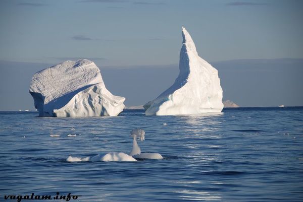 Antarctique 0476 2