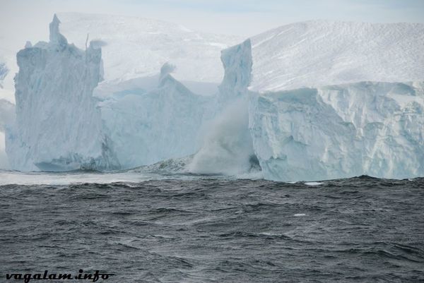 Antarctique3 0411