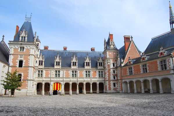 Chateau-de-Blois 0012