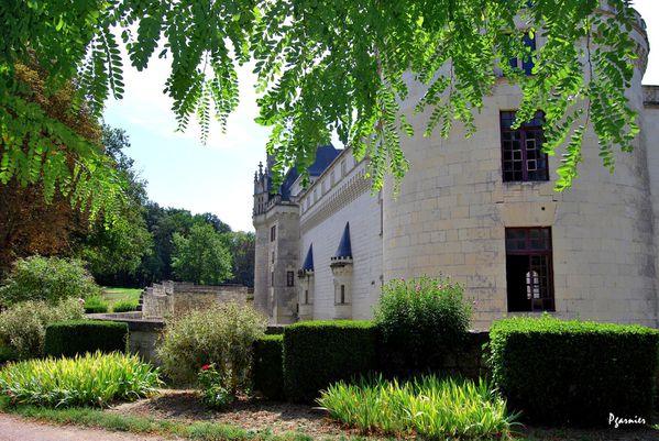 Château de Brézé (4)
