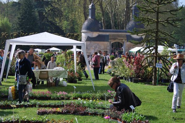 Courtanvaux-cote-jardin 0021