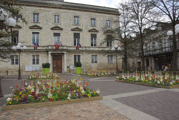 Fleurs mairie 1