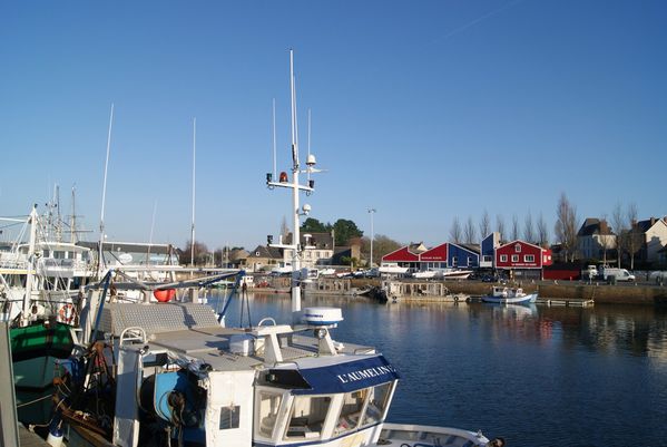 paimpol-week-end-du-15-janvier-021--Copier-.JPG