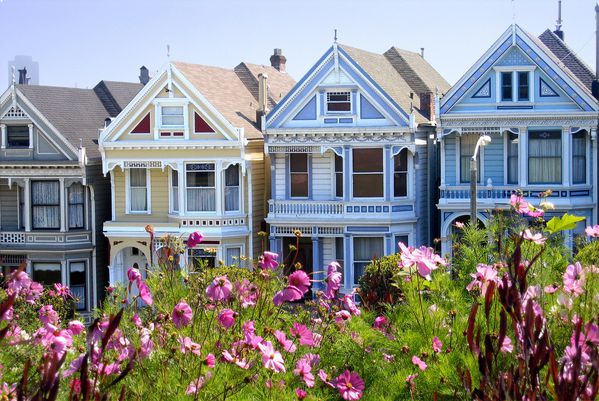 San Francisco Painted Ladies 2