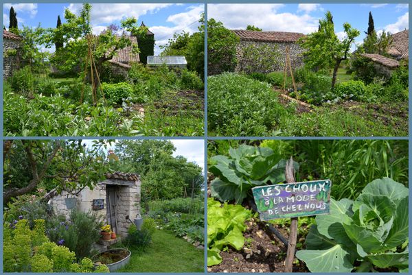 potager-10-5-13.jpg