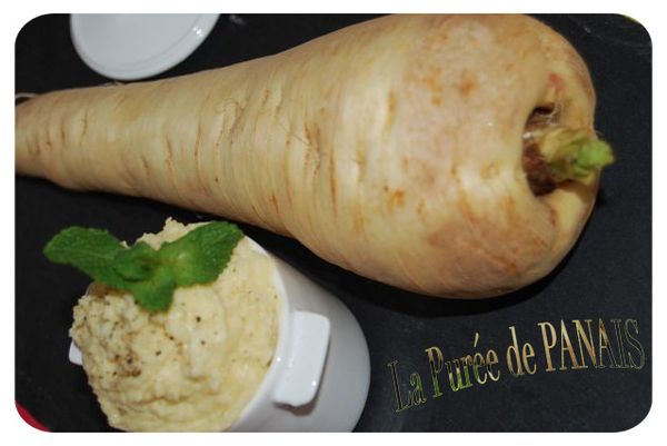 PURÉE DE PANAIS